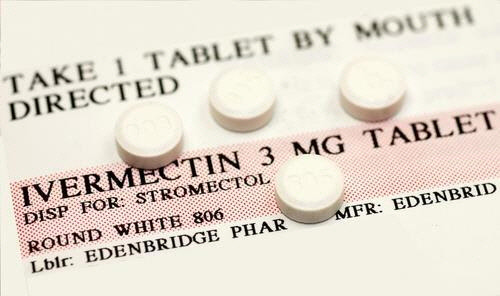 이버멕틴[게티이미지뱅크 제공]